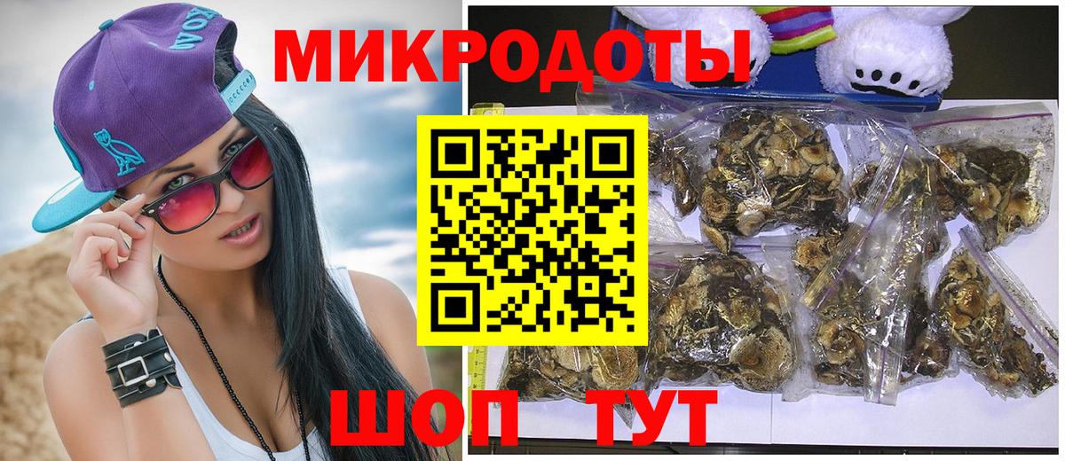 Волжск  Псилоцибиновые грибы Psilocybine cubensis  Вход с VPN 