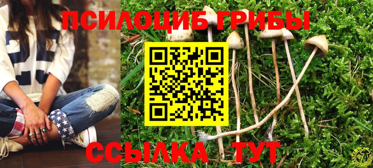 Псилоцибиновые грибы MAGIC MUSHROOMS Волжск