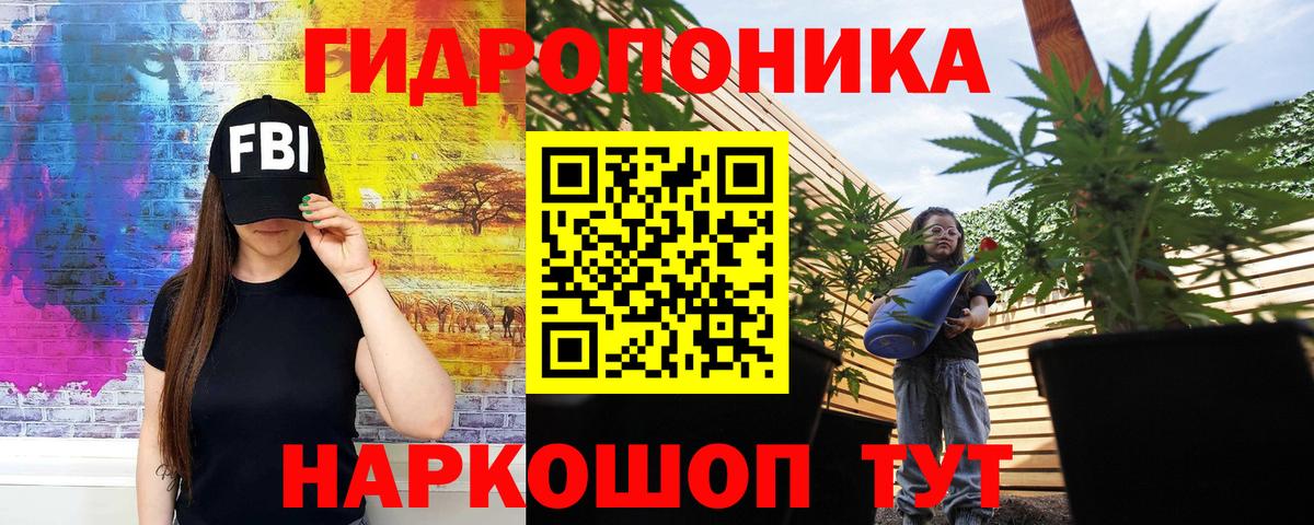 Волжск  Канабис планчик  Бошки марихуана VHQ  Канабис SATIVA & INDICA  Вход с VPN 
